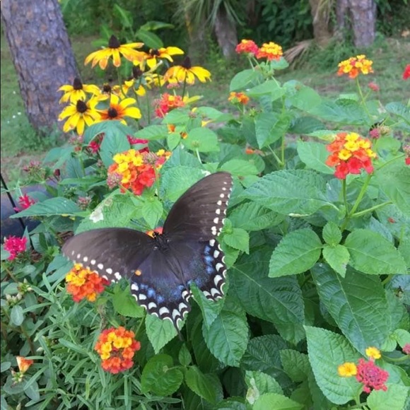 Meet your Posher, Faye - Picture 6 of 6